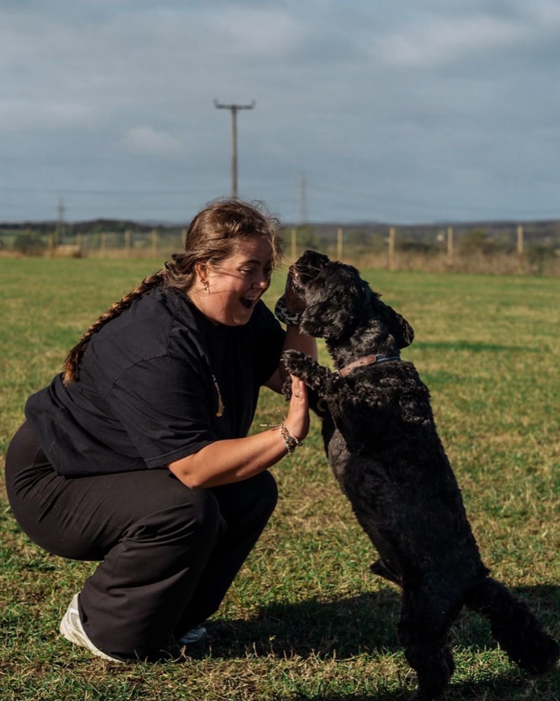 A Tails of the Toon walker high-fiving a black cockapoo in a field